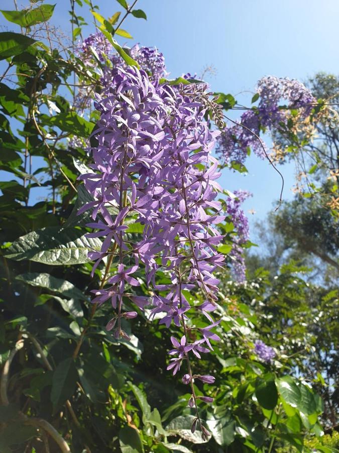 Blue Orchid Beach Krabi - Sha Certified Ao Nam Mao Eksteriør bilde